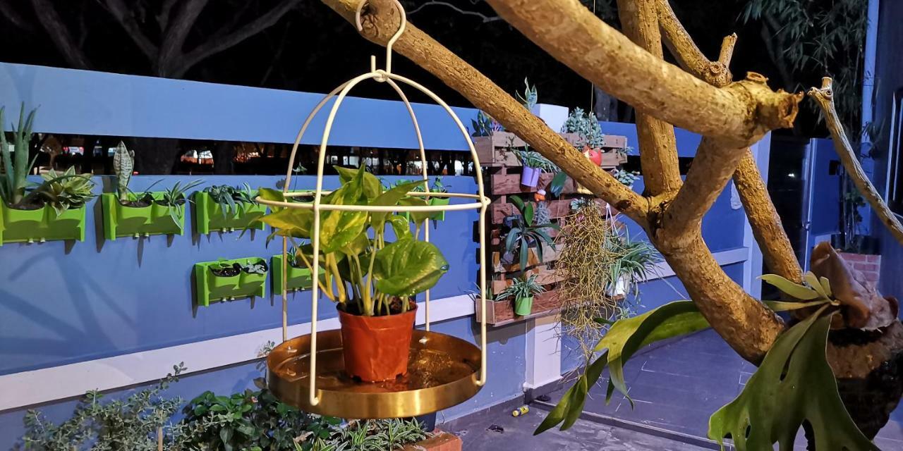 Oneriimba Private Pool & Garden Residence Johor Bahru Exterior photo